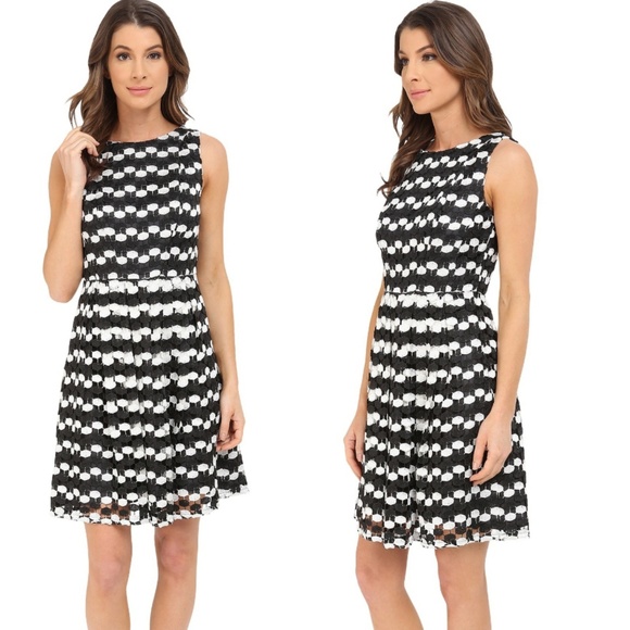 Adrianna Papell Dresses & Skirts - Adrianna Papell |Stripe Dot Fit & Flare Dress